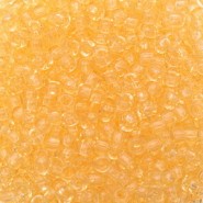 Miyuki seed beads 11/0 - Orange 11-132L